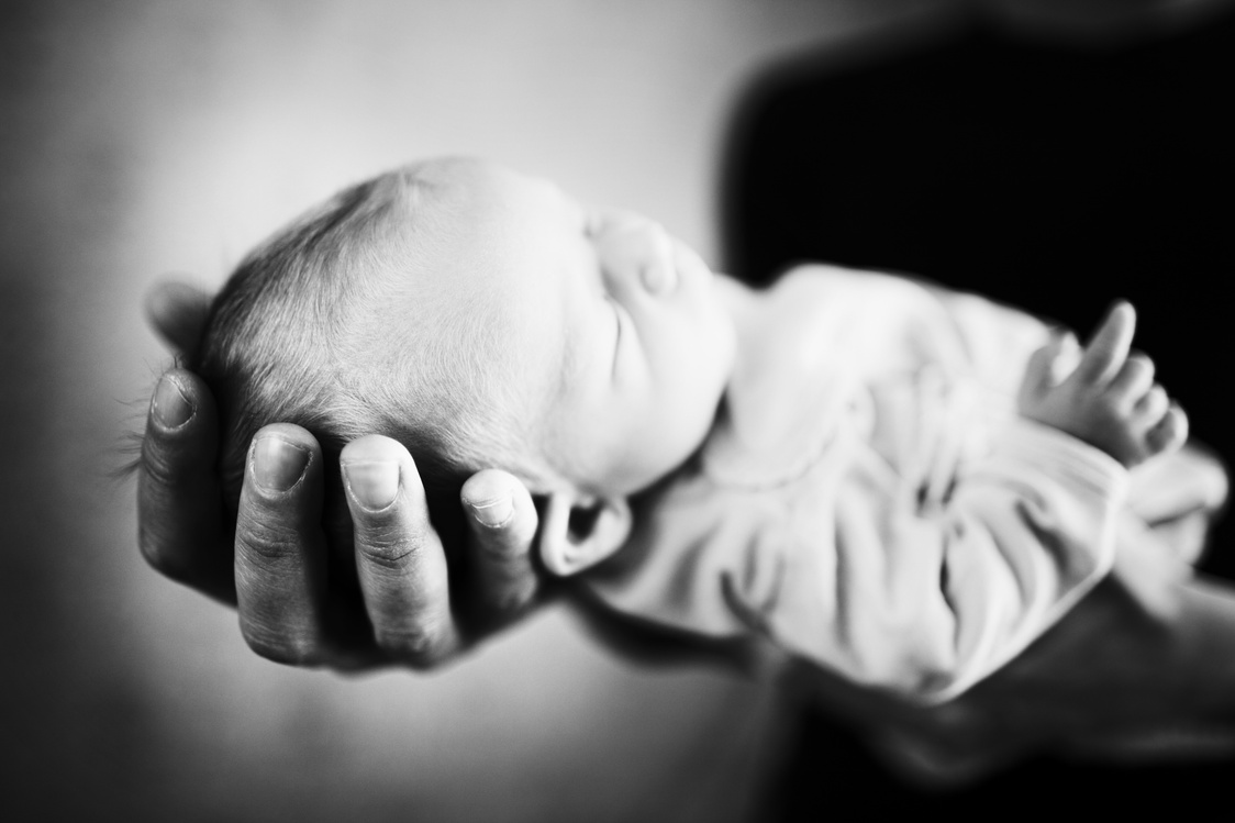 Newborn
